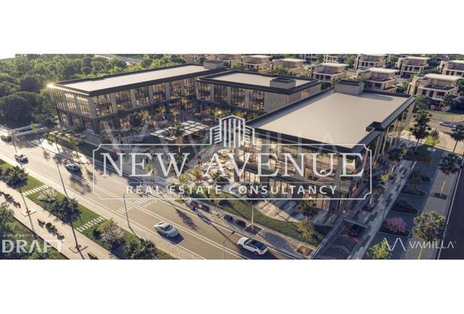 8175466 - Property Image 2