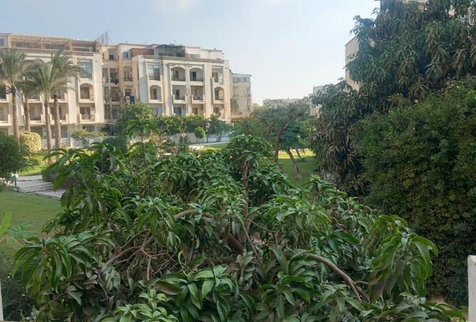 8352704 - Property Image 3