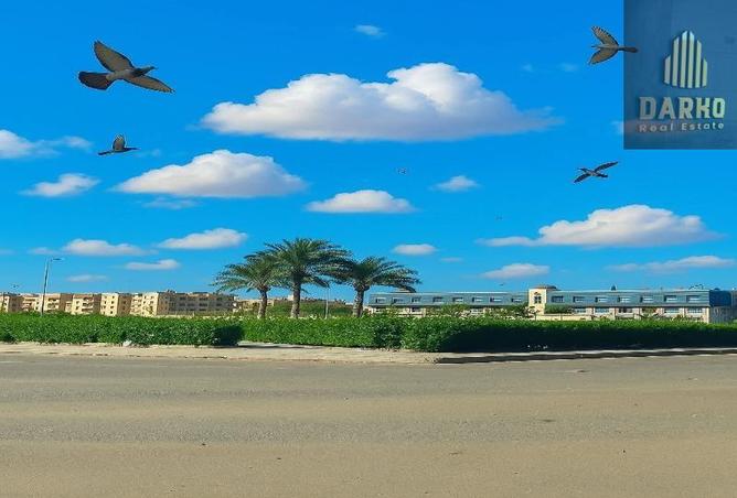 8242804 - صورة العقار 3