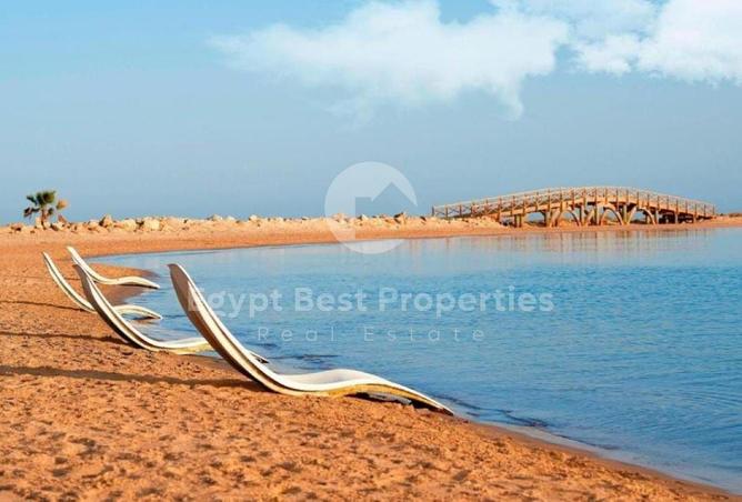 8133537 - Property Image 3