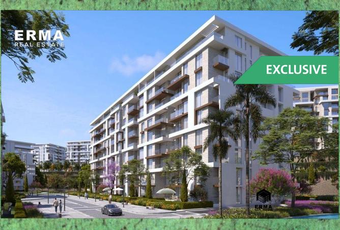 8079492 - Property Image 3