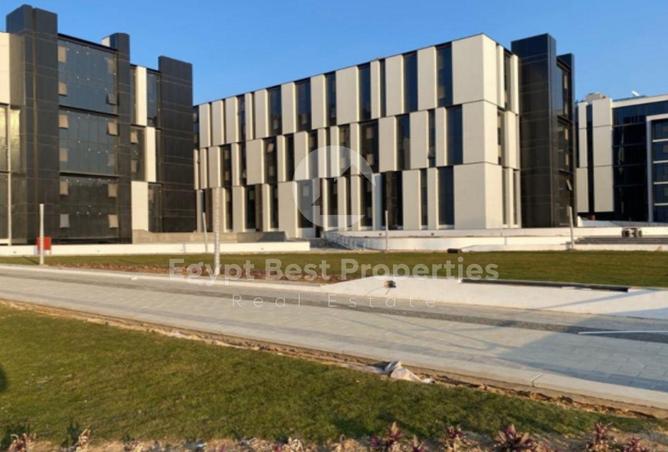 8195765 - صورة العقار 3