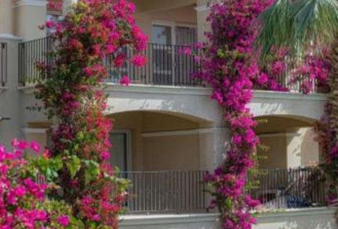 8451695 - Property Image 2