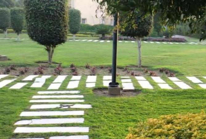 8392249 - صورة العقار 3