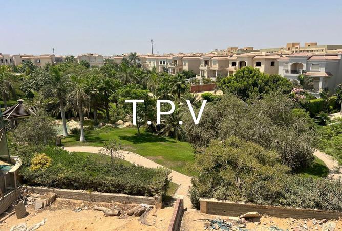 8557555 - Property Image 3