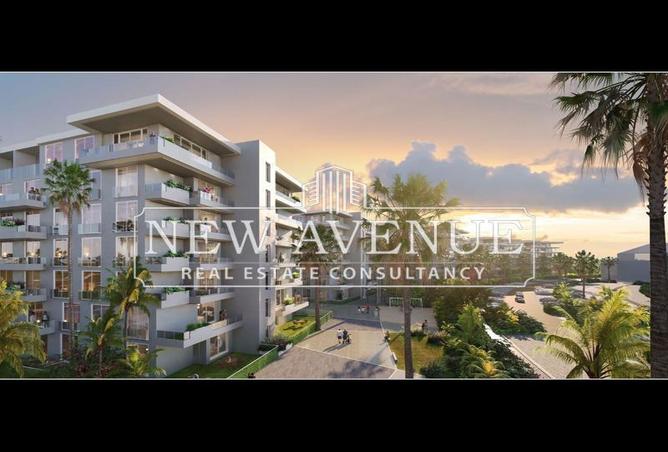 8360710 - Property Image 3