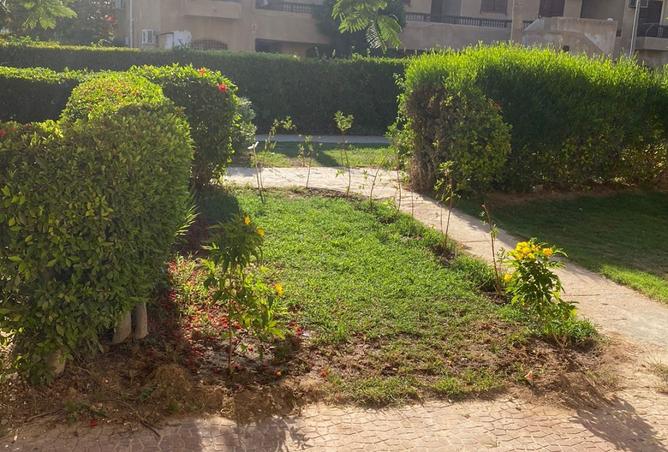 7957683 - صورة العقار 2