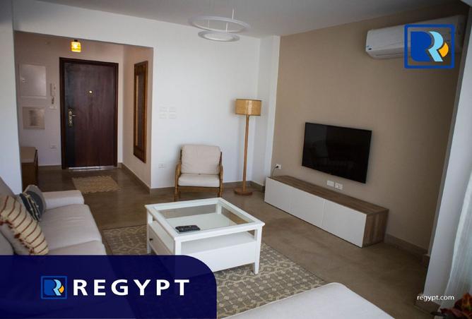 7946417 - Property Image 3