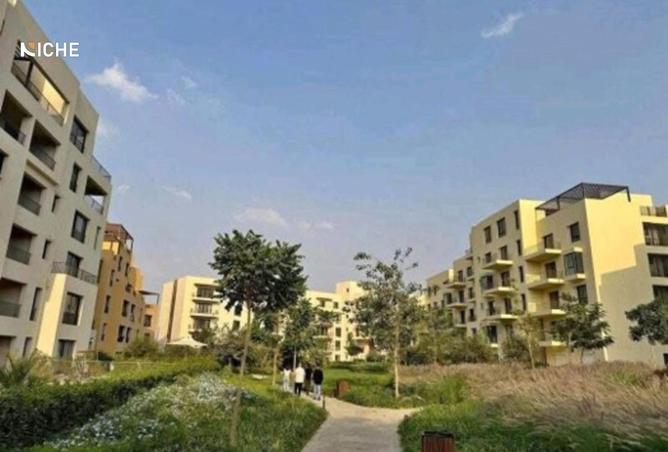 8458246 - صورة العقار 3