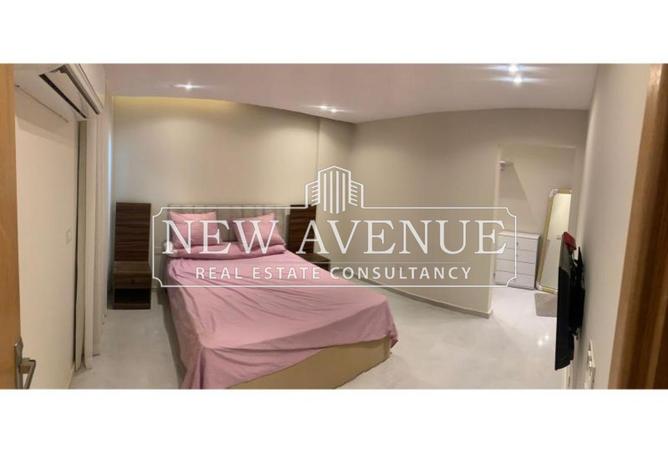 8290107 - Property Image 3