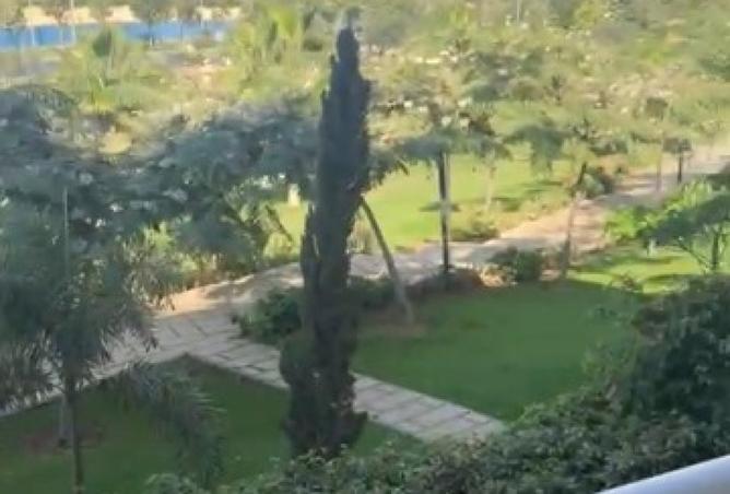 8307509 - الصورة الرئيسية للعقار