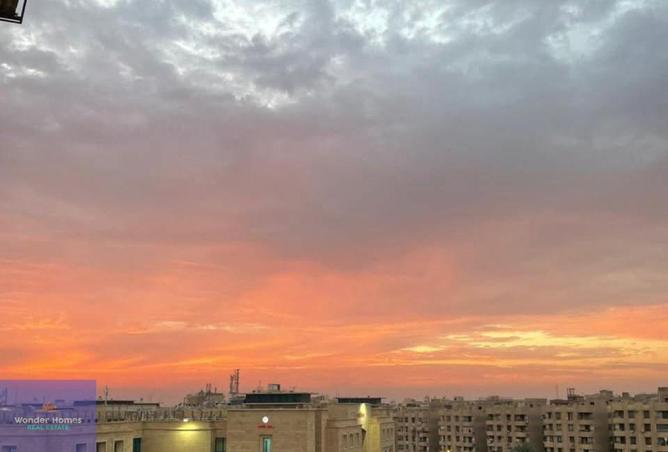 8335557 - Property Image 3