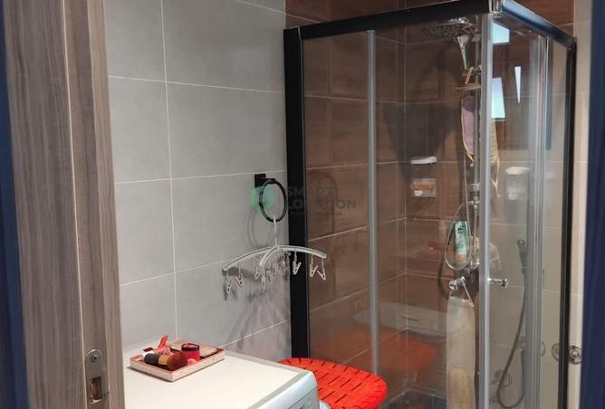 8477172 - Property Image 3