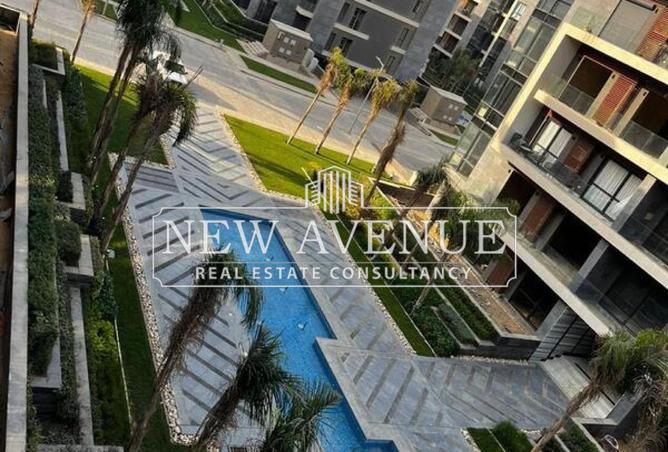 8338317 - Property Image 3