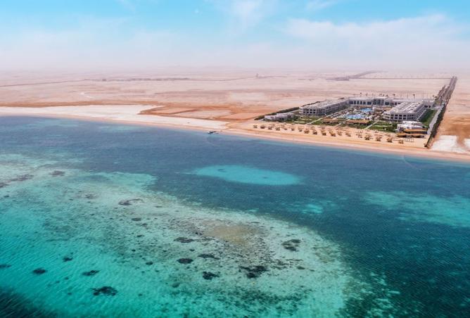 8188578 - صورة العقار 2