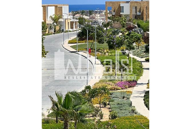 7961574 - الصورة الرئيسية للعقار