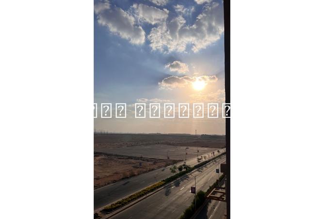 8049652 - Property Image 3