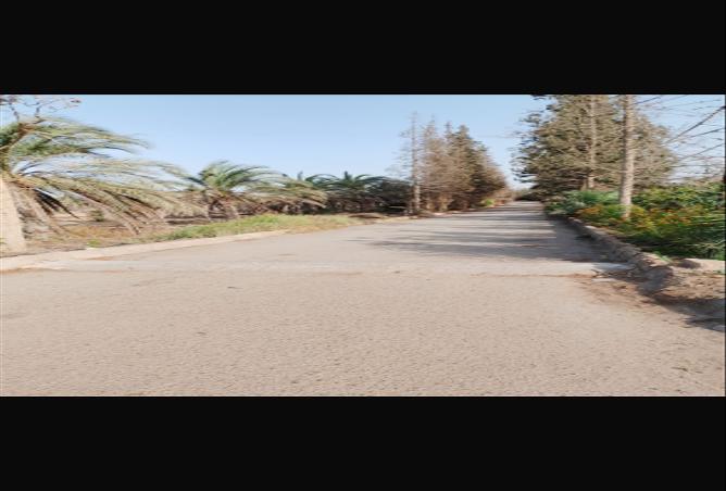 8407244 - صورة العقار 2