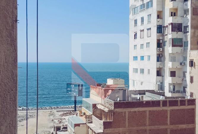 7931012 - صورة العقار 2