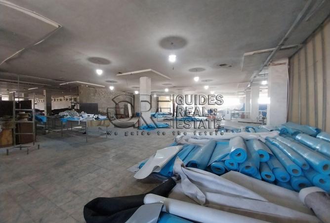 8387346 - Property Image 2