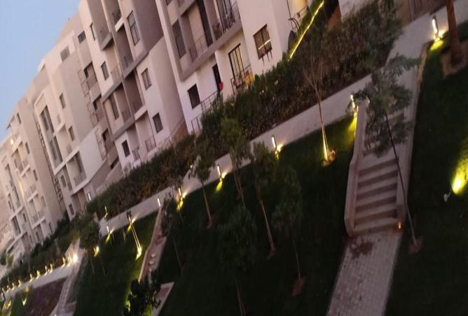 7933773 - Property Image 3