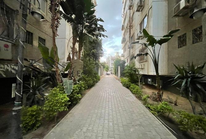 8293115 - Property Image 3