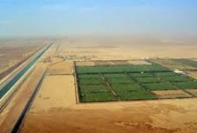 8463252 - Property Image 3