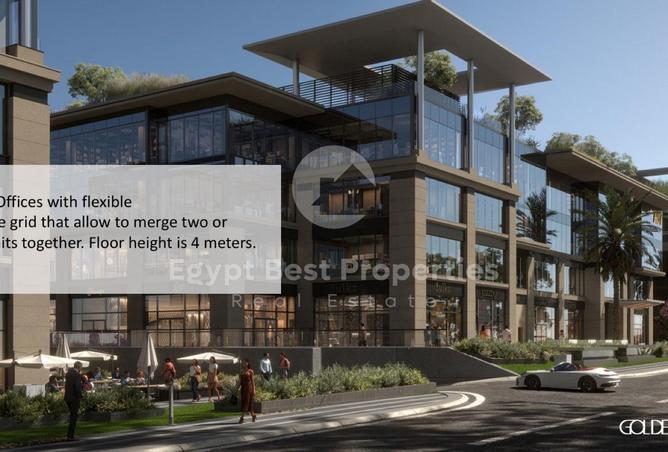 8448382 - Property Image 3