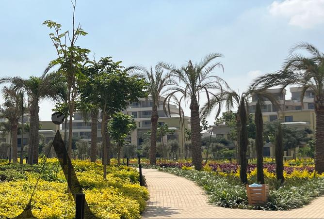 8187643 - صورة العقار 3