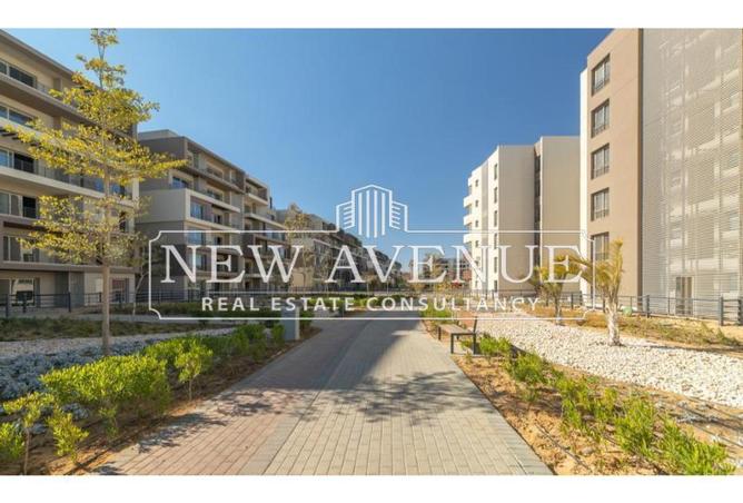 7904916 - Property Image 2