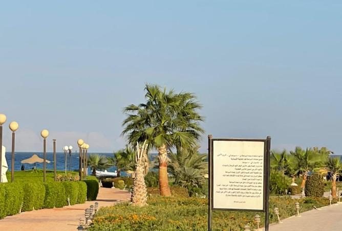 8167496 - Property Image 3