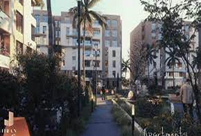 8145072 - Property Image 2