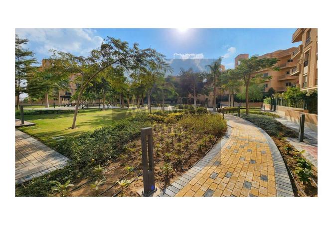 8106203 - Property Image 3