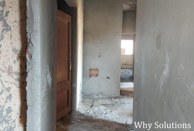 8384214 - Property Image 3