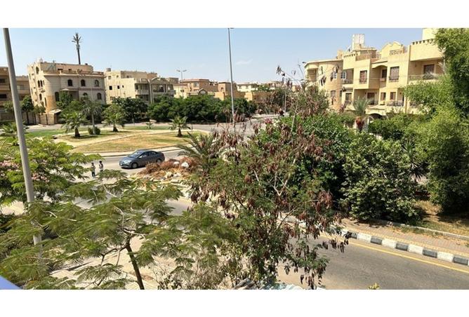 8197657 - صورة العقار 2