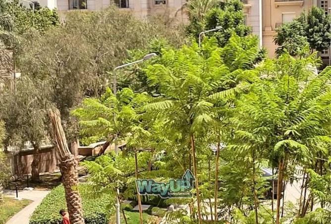 8384204 - صورة العقار 3