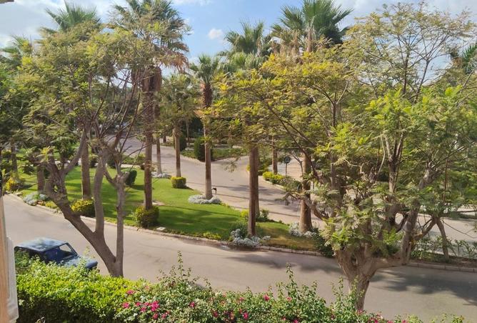 8143146 - صورة العقار 2