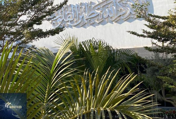 8542874 - صورة العقار 3