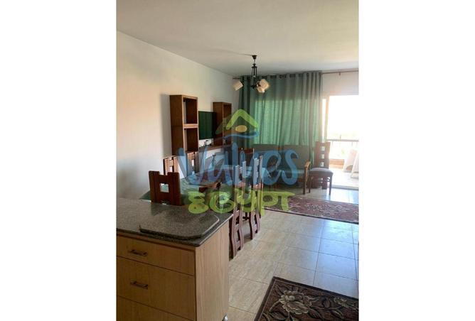 7930060 - Property Image 3