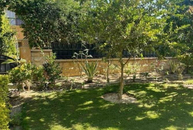 8116694 - صورة العقار 3