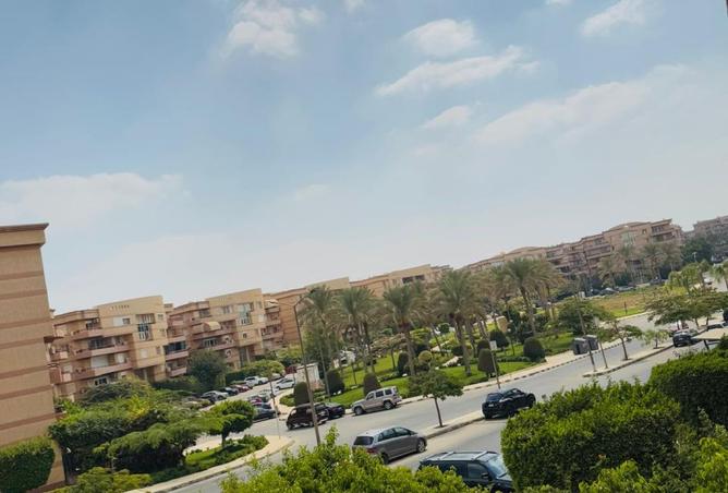 7998451 - Property Image 3