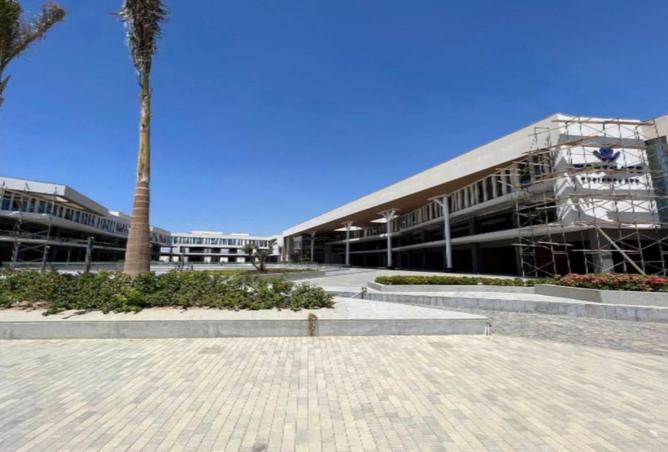 8279384 - صورة العقار 2