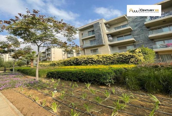 8460005 - صورة العقار 3