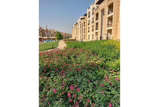 8355522 - صورة العقار 2