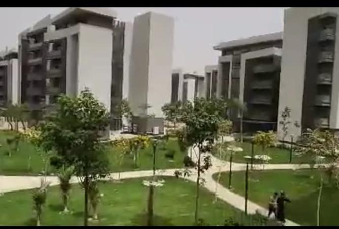8059162 - الصورة الرئيسية للعقار