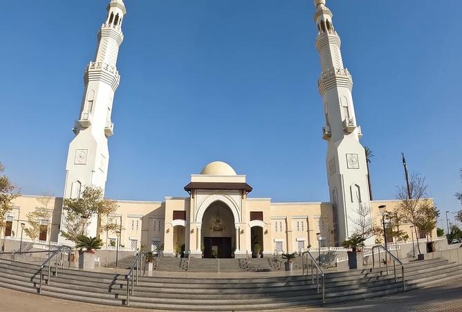 7985287 - صورة العقار 3