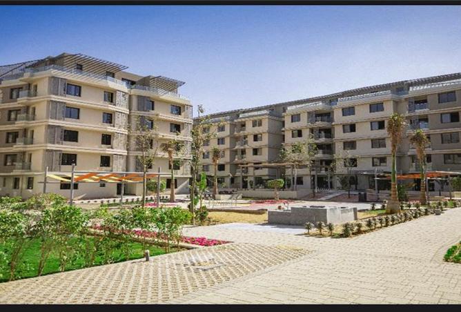 8011033 - Property Image 3