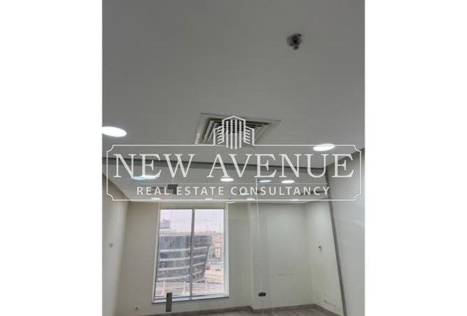 8374317 - Property Image 3