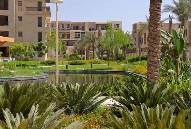 8198864 - صورة العقار 3