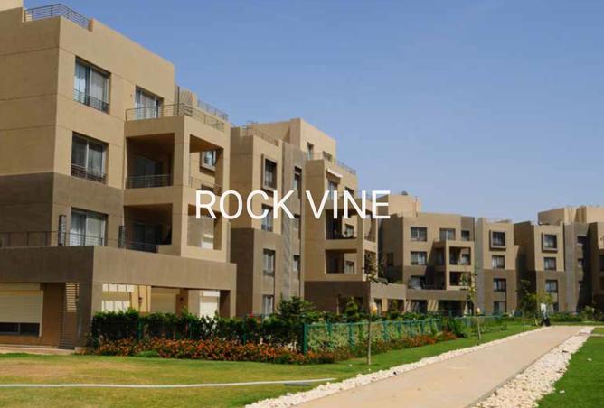 8384709 - Property Image 3